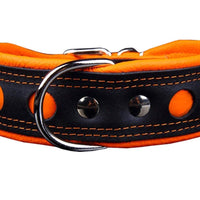 Real Leather Soft Leather Padded Dog Collar Reflective Black/Orange