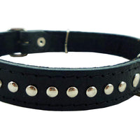 Genuine Leather Studded Padded Dog Collar 15"x5/8" Wide Fits 10"-13" Neck Poodle, Chihuahua, Puppies