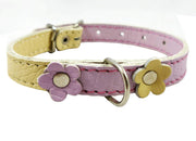 Genuine Leather Designer Dog Collar Daisy Studs 11"x1/2" Wide. Fits 8"-10" Neck Yorkshire, Puppies