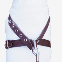 Brown Leather Dog Harness Medium. 21"-25" Chest, 1" Wide Straps