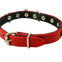 Genuine Leather Designer Dog Collar Daisy Studs 11.5" x1/2" Wide Fits 8"-10" Neck Yorkshire, Puppies
