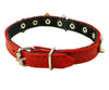 Genuine Leather Designer Dog Collar, Daisy, Studs. 14.5" x5/8" Wide. Fits 10"-13.5" Neck