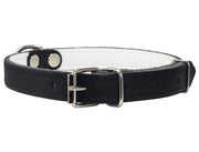 Dogs My Love Genuine Leather Felt Padded Dog Collar Black