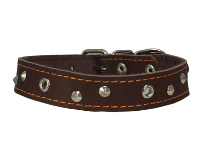 Genuine Leather Studded Dog Collar, Brown, 1