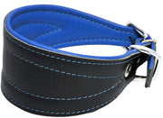 Real Leather Extra Wide Padded Tapered Dog Collar Glossy Black Greyhound Lurcher Dachshund Blue