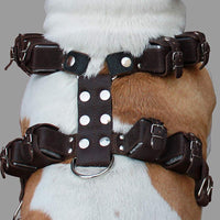 8 lbs Brown Genuine Leather Weighted Pulling Dog Harness for Exercise and Training 33"-39" Chest