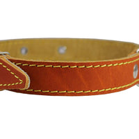 Genuine Leather Dog Collar 13"-19.5" Neck Size, 1" Wide, Medium to Large