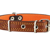 Genuine Leather Dog Collar Padded Brown 3 Sizes