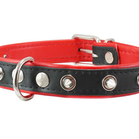Dogs My love Spiked Genuine Leather Dog Collar Padded Black/Red