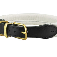 White Soft Genuine Rolled Leather Dog Collar Brass Hardware
