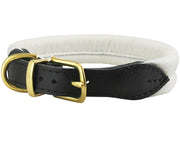 White Soft Genuine Rolled Leather Dog Collar Brass Hardware