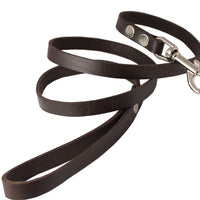 4' Genuine Leather Classic Dog Leash Brown 5/8" Wide for Medium and Large Dogs