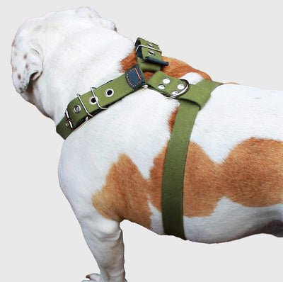 Cotton Web Dog Harness Large. Fits Girth 29