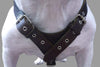 10 Lbs Brown Genuine Leather Weighted Pulling Dog Harness Exercise and Training Fits 35"-44" Chest