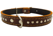 Genuine Leather Studded Padded Dog Collar 15"x5/8" Wide Fits 10"-13" Neck Poodle, Maltese, Puppies