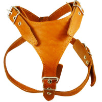 Orange Genuine Leather Dog Harness, Medium. 25"-30" Chest, 1" Wide Adjustable Straps