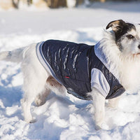 Dogs My Love Cold Weather Hoodie Jacket 6 Sizes Coat Blue