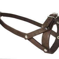 Adjustable Leather Loop Bite Bark Control Easy Fit Muzzle Brown. Fits 10.5"-12.5" Snout.
