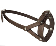 Adjustable Leather Loop Bite Bark Control Easy Fit Muzzle Brown. Fits 10.5"-12.5" Snout.