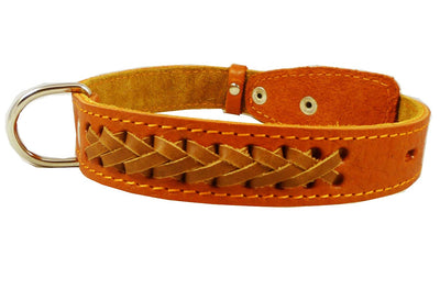 Genuine Leather Braided Dog Collar, 1