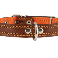 Genuine Leather Dog Collar Padded Brown 3 Sizes