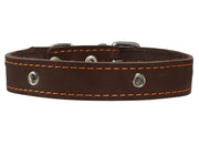 Genuine Leather Studded Dog Collar, Brown, 1" Wide. Fits 13"-17.5" Neck Size