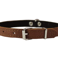 Dogs My Love Brown Genuine Leather Felt Padded Dog Collar 13" x1/2" Wide Fits 9"-12" Neck