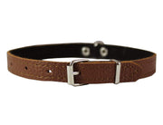 Dogs My Love Brown Genuine Leather Felt Padded Dog Collar 13" x1/2" Wide Fits 9"-12" Neck