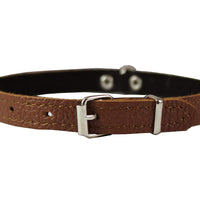 Dogs My Love Genuine Leather Felt Padded Dog Collar X-Small 11" x1/2" Wide Fits 8"-10" Neck