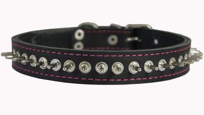 Genuine Leather Spiked Dog Collar 1