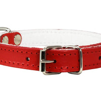 Dogs My Love Genuine Leather Felt Padded Dog Collar Red