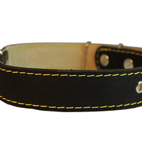 Genuine Leather Dog Collar 14"-21" Neck Size, 1.25" Wide, Amstaff, Pitt Bull