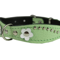 Genuine leather Designer Dog Collar 14.5"x1" with Studs, Daisy, and Rhinestone, Fit 10.5"-13" neck