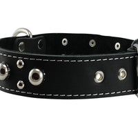 Black Real 1.5" Wide Thick Leather Studded Dog Collar. Fits 17"-21.5" Neck, Large Breeds.