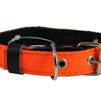 Double Thick Nylon Dog Collar Leather Enforced Metal Buckle Sized to Fit 9.5"-13" Neck, 3/4" Wide.