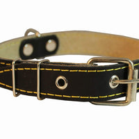 Genuine Leather Dog Collar 13"-19.5" Neck Size, 1" Wide Black