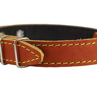 Real Leather Dog Collar 11"-15" Neck Size, 3/4" Wide, Medium Breeds