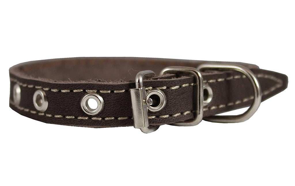 Brown Real Leather Dog Collar 9.5"-13" Neck Size, 1/2" Wide Yorkshire Terrier, Puppies