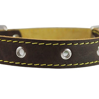 Genuine Thick Leather Dog Collar 13"-19.5" Neck Size, 1" Wide, Brown