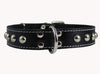 Black Genuine 1" Wide Thick Leather Studded Dog Collar. Fits 14"-17" Neck, Medium Breeds.