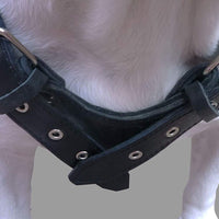 10 Lbs Black Genuine Leather Weighted Pulling Dog Harness for Exercise and Train Fits 35"-44" Chest