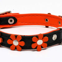 Real Leather Daisy Flowers Dog Collar Black/Orange