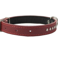 Genuine Leather Studded Padded Dog Collar 15"x5/8" Wide Fits 10"-13" Neck, Pomeranian, Chihuahua