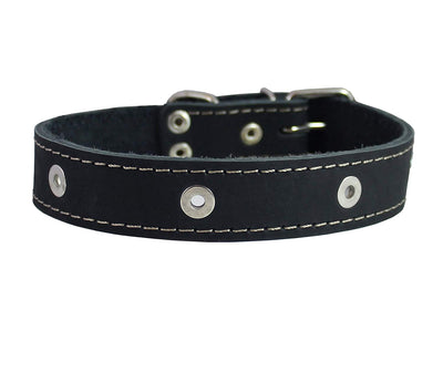 Genuine Leather Studded Dog Collar, Black, 1.25