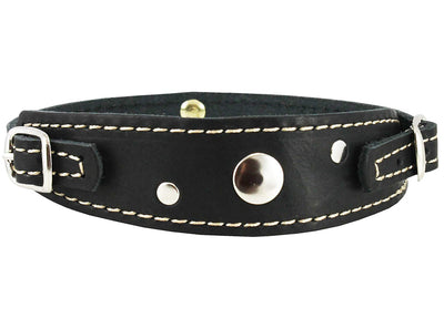 Genuine Leather Two Buckles Dog Collar 9.5