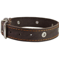 Genuine Leather Studded Dog Collar, Brown, 1.25" Wide. Fits 15"-18.5" Neck. Amstaff