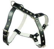 Genuine Leather Dog Harness Padded, Fits 17" - 21" Chest, Poodle, Boston Terrier