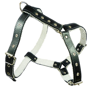 Genuine Leather Dog Harness Padded, Fits 17