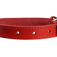 Genuine Leather Dog Collar Red 4 Sizes