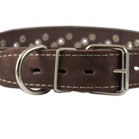 Genuine Leather Studded Dog Collar 22"x1" Brown Fits 15"-19.5" Neck